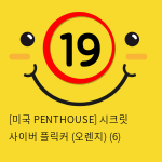 [미국 PENTHOUSE] 시크릿 사이버 플릭커 (오렌지) (6)